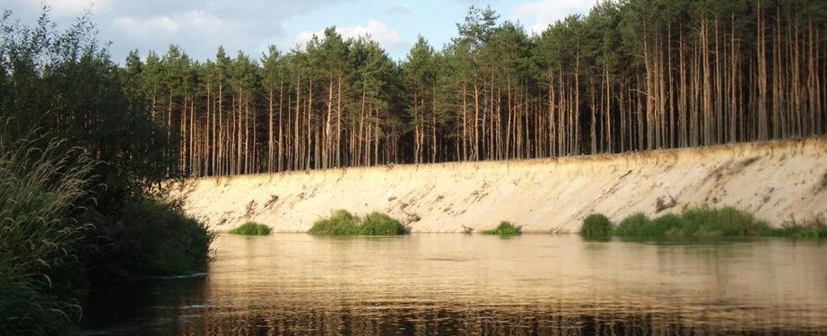 Domki Nad Pilica Krzetow Buitenkant foto