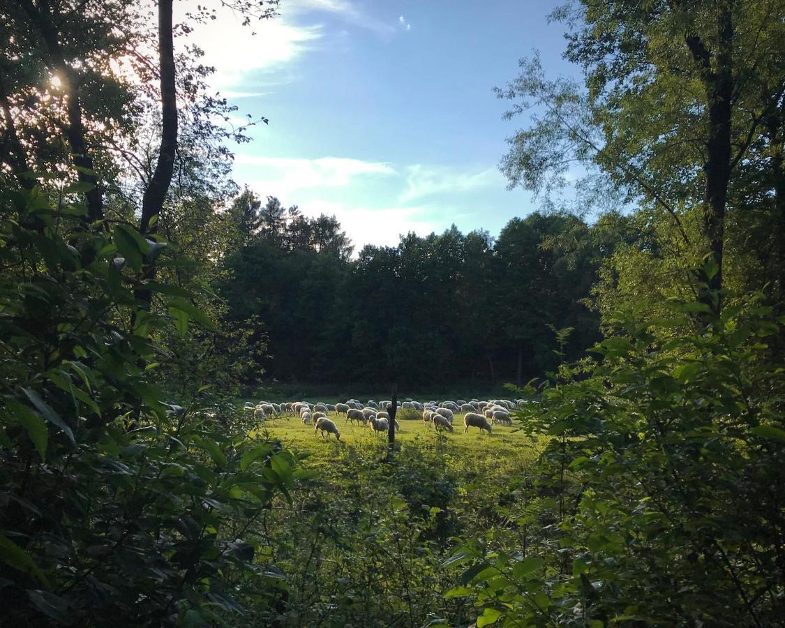Domki Nad Pilica Krzetow Buitenkant foto