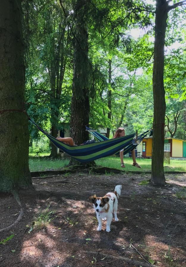 Domki Nad Pilica Krzetow Buitenkant foto