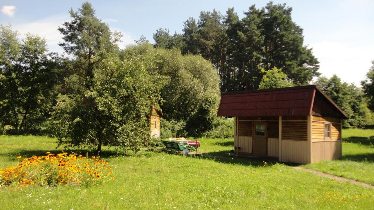 Domki Nad Pilica Krzetow Buitenkant foto