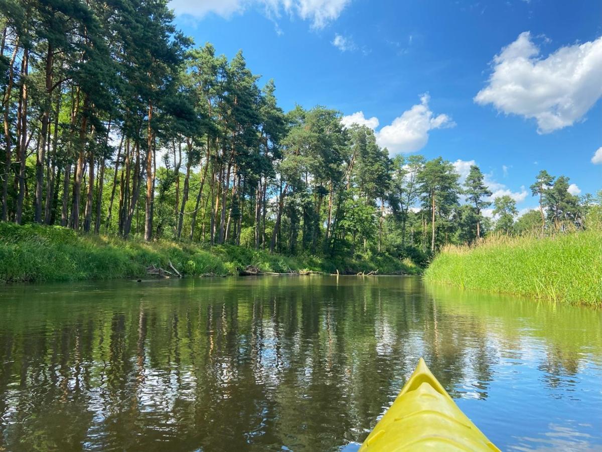 Domki Nad Pilica Krzetow Buitenkant foto