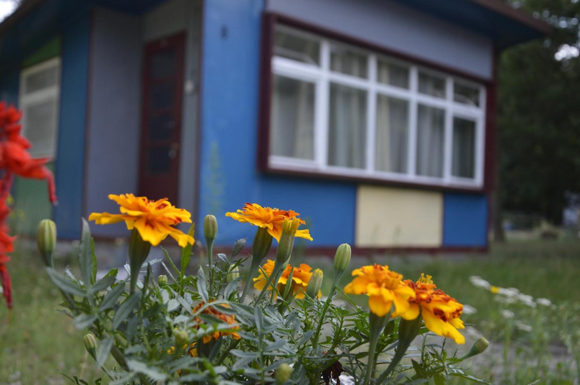 Domki Nad Pilica Krzetow Kamer foto